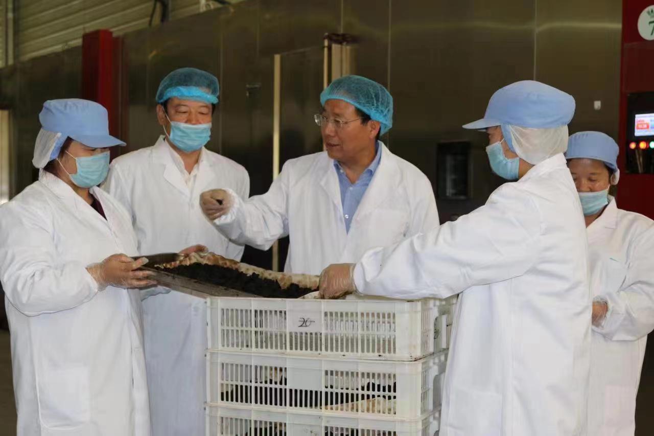 青海省扶贫开发协会常务理事会理事