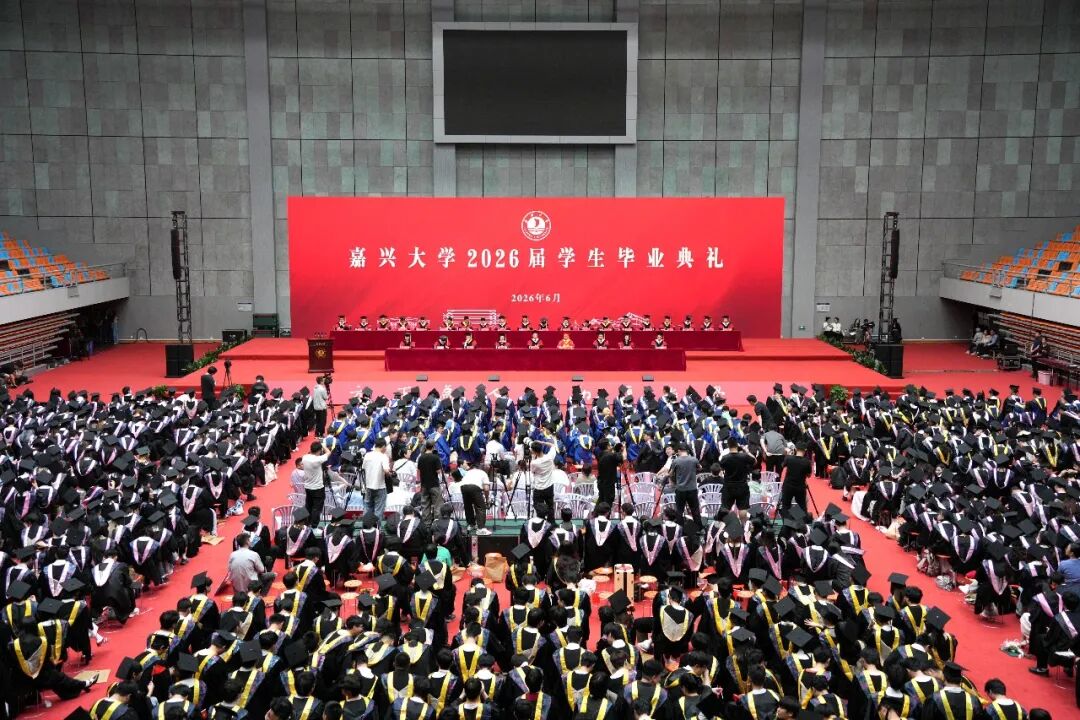 南方双彩APP下载手机版登录1253