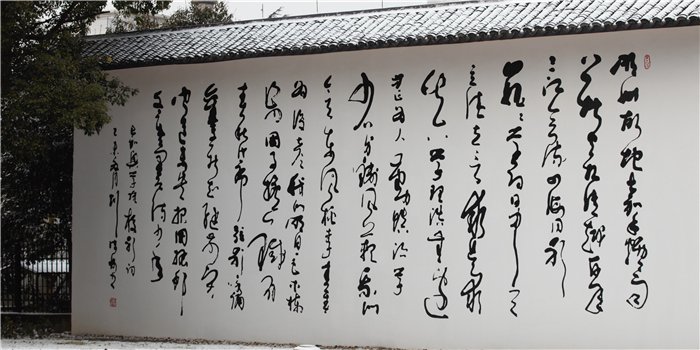 南方双彩